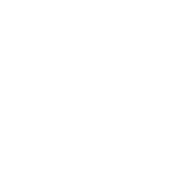 feature-icon